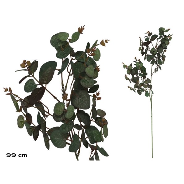 VARA EUCALIPTO X 160 - 99 CM (VERDE/RJ)