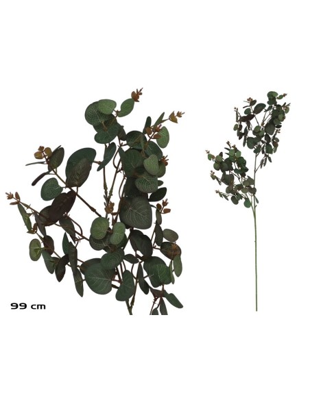 VARA EUCALIPTO X 160 - 99CM (VERDE/RJ)