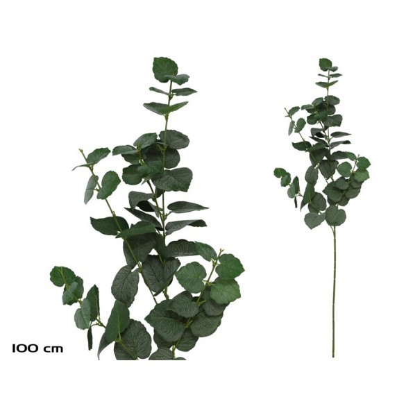 VARA EUCALIPTO X 58 - 100 CM (VERDE)