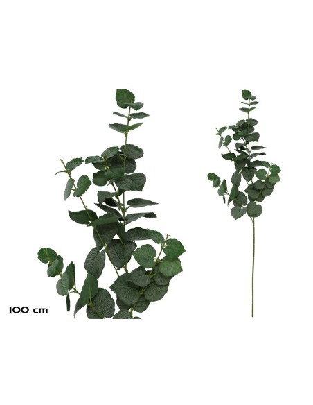 VARA EUCALIPTO X 58 -100CM (VERDE)