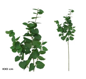 VARA EUCALIPTO X 58 -100 CM (VERDE/CL)