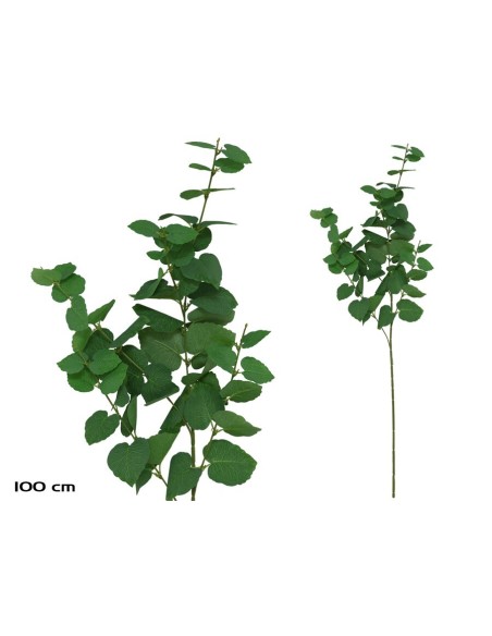VARA EUCALIPTO X 58 -100 CM (VERDE/CL)
