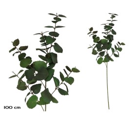 VARA EUCALIPTO X 58 - 100 CM (VERDE/RJ)