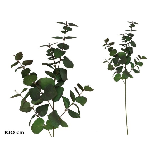 VARA EUCALIPTO X 58 - 100 CM (VERDE/RJ)