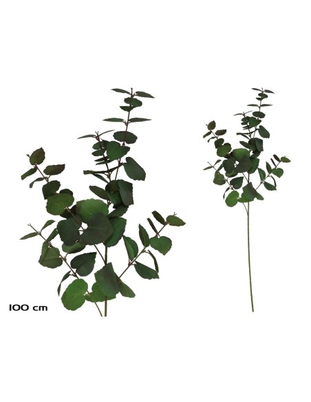 VARA EUCALIPTO X 58 - 100 CM (VERDE/RJ)