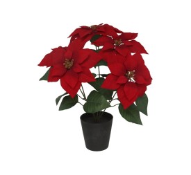 MACETA POINSETTIA  X5-54CM (ROJA)