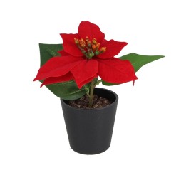 MACETA POINSETTIA - 17 CM (ROJA)