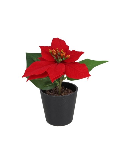 MACETA POINSETTIA - 17 CM (ROJA)