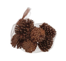SACO PIÑA PINO GRANDES 300G