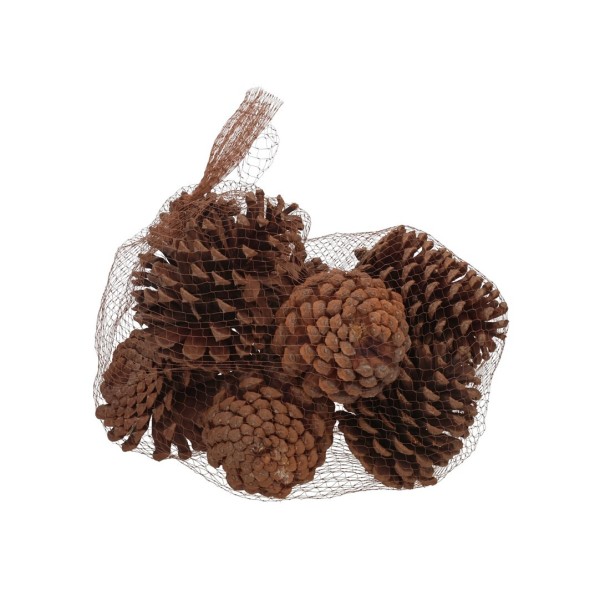 SACO PIÑA PINO GRANDES 300G