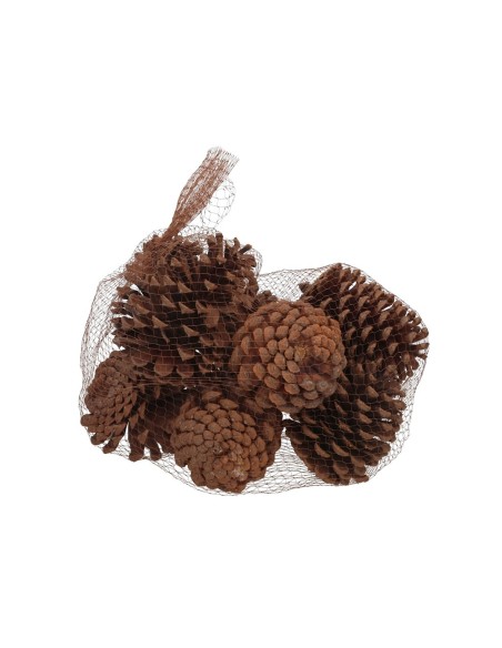 SACO PIÑAS PINO GRANDES 300G