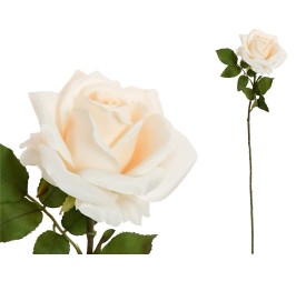 VARA ROSA OPEN (A)-68CM (MARFIL)