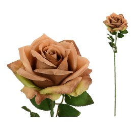 VARA ROSA OPEN (A)-68CM (CORAL)