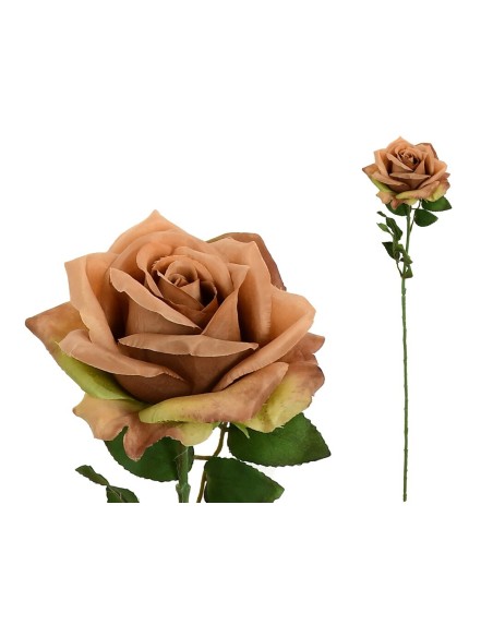 VARA ROSA OPEN (A)-68CM (CORAL)