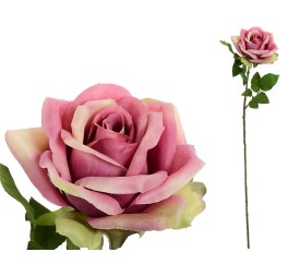 VARA ROSA OPEN (A)-68CM (FUCSIA)