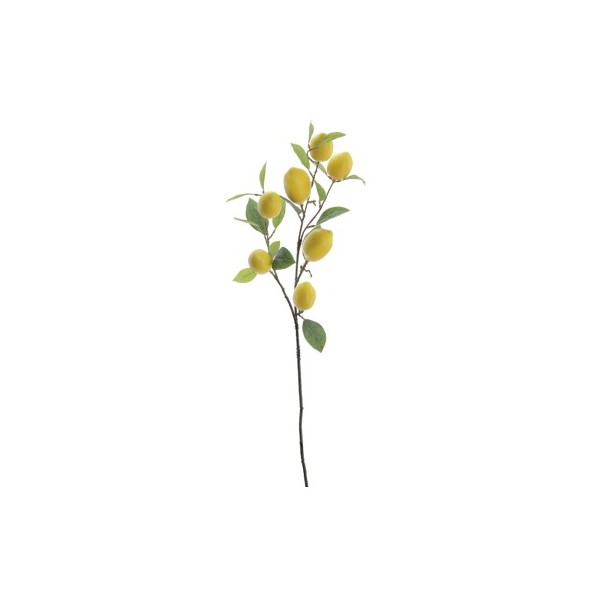 RAMA LIMONES 95 CMS (6009-02)