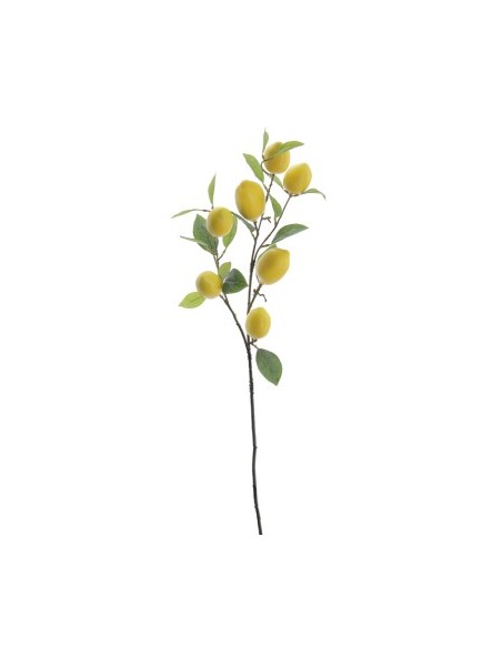 RAMA LIMONES (6009-02)