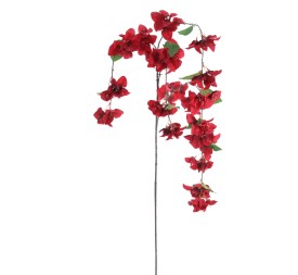 BOUGANVILLA COLGANTE ( 6251-08)