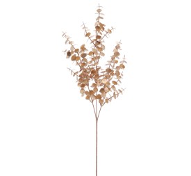 RAMA EUCALYPTUS (NAV2520-42)