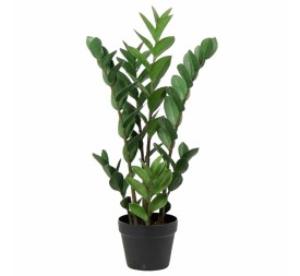 PL.ZANZIBAR C/MACETERO 75cm (G654-2)