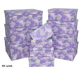 SET 10 CAJAS NOMEOLVIDES 37,5X29X16 CM