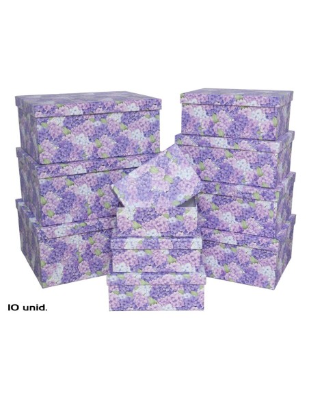 SET 10 CAJAS NOMEOLVIDES 37,5X29X16 CM