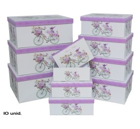 SET 10 CAJAS FLOWER BIKE 37,5X29X16 CM