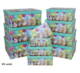 SET 10 CAJAS FELIZ GATOS 37,5X29X16 CM