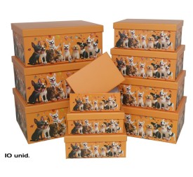 SET 10 CAJAS PERROS 37,5X29X16 CM