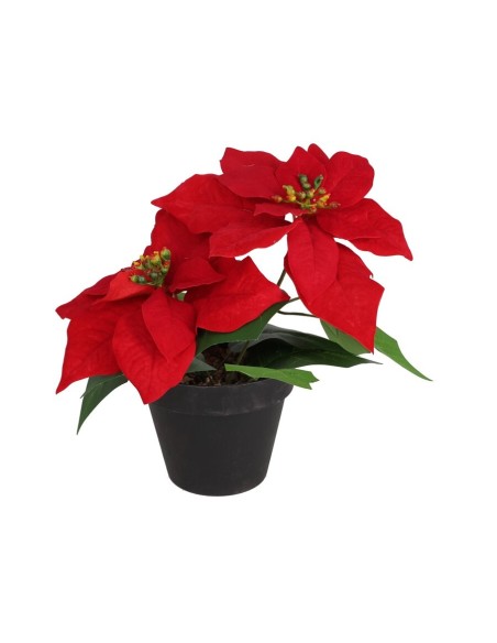 MACETA POINSETTIA X 2 - 28 CM (ROJA) MACETA POINSETTIA X 2 - 28 CM (ROJA)