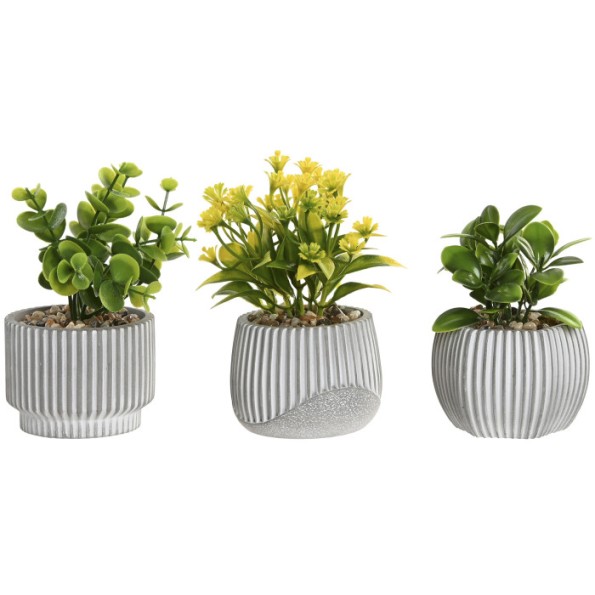 PLANTA PE CERAMICA 8X8X13 3 SURT. (5599)