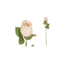 VARA CAPULLO DRIED - 50 CM (CREMA)