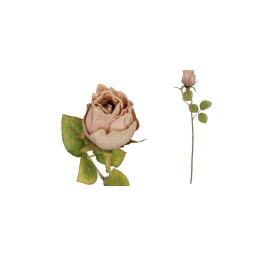 VARA CAPULLO DRIED - 50 CM (CAFE)