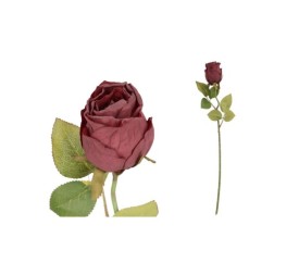VARA CAPULLO DRIED - 50 CM (ROJO)