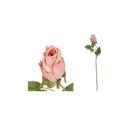 VARA CAPULLO DRIED - 50 CM (ROSA)