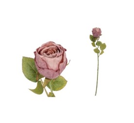 VARA CAPULLO DRIED - 50 CM (VIOLETA)