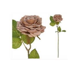 VARA ROSA DRIED - 50 CM (CAFE)