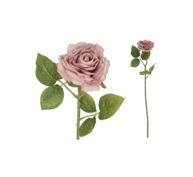 VARA ROSA DRIED - 50 CM (VIOLETA)