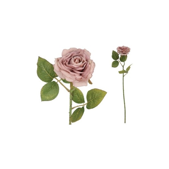 VARA ROSA DRIED - 50 CM (VIOLETA)
