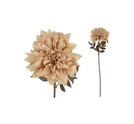 VARA DALIA DRIED - 54 CM (CAFE)