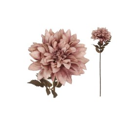 VARA DALIA DRIED - 54 CM (VIOLETA)