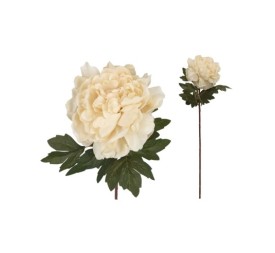 VARA PEONIA DRIED - 57 CM (CREMA)