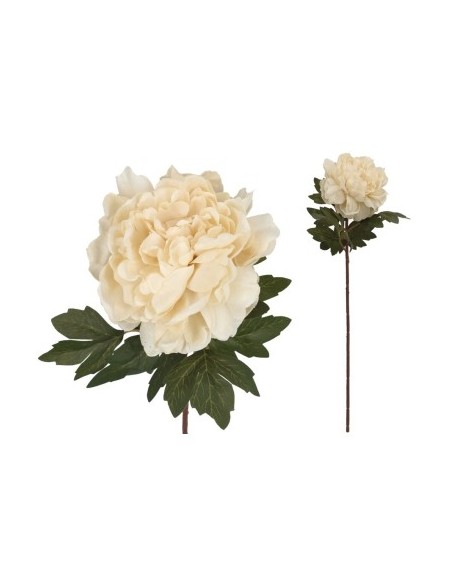 VARA PEONIA DRIED - 57 CM (CREMA) VARA PEONIA DRIED - 57 CM (CREMA)