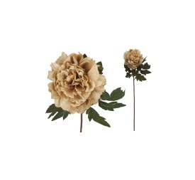 VARA PEONIA DRIED - 57 CM (CAFE)