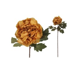 VARA PEONIA DRIED - 57 CM (OCRE)