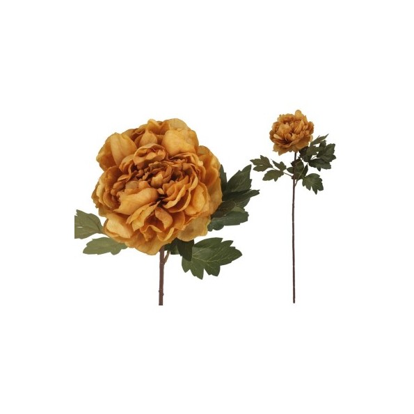 VARA PEONIA DRIED - 57 CM (OCRE)