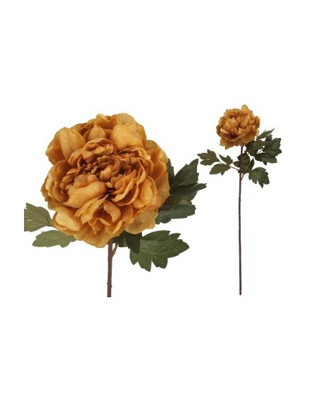 VARA PEONIA DRIED - 57 CM (OCRE) VARA PEONIA DRIED - 57 CM (OCRE)