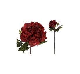VARA PEONIA DRIED - 57 CM (ROJO)