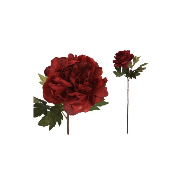 VARA PEONIA DRIED - 57 CM (ROJO)