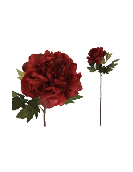 VARA PEONIA DRIED - 57 CM (ROJO) VARA PEONIA DRIED - 57 CM (ROJO)
